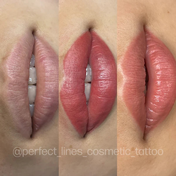 Bare – Evenflo 15 ML