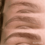 SALE - Dark Teddy - Brow Daddy Singles - Expired - Use for practice ONLY